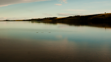 Are There Two Loch Ness Monsters? Expert Believes That’s What New Footage May Show