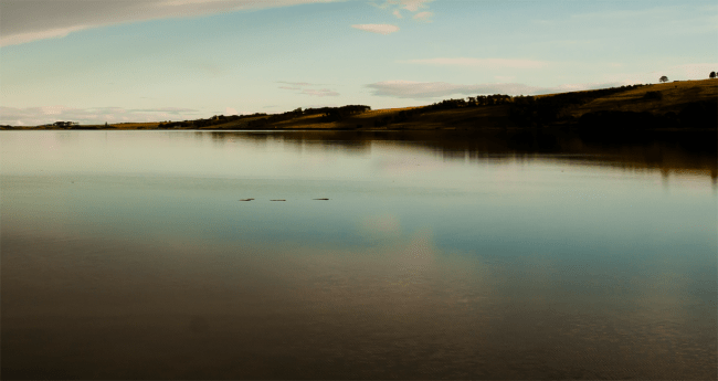 loch ness monster are there two