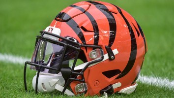 Bengals Reach Peak Cincinnati With Sponsorship Deal Involving Incredibly Divisive Local Dish