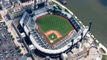 Fans Ecstatic To See Drew Maggi Called Up To MLB After 13 Seasons In The Minors