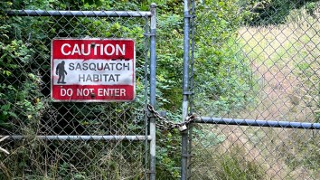 ‘Definitive’ Expedition To Search For Bigfoot Announced, Expected To ‘Produce Clear Evidence’