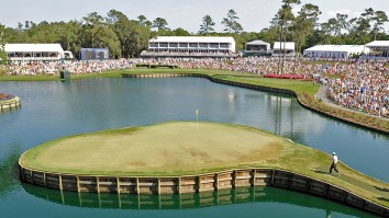 Brandel Chamblee’s Wife Hits Brutal ‘Hole-In-Three’ On 17th Hole At TPC Sawgrass (Video)
