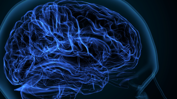 New Robot That Gets Injected Into The Skull Uses Its Tentacles To Monitor Brain Activity