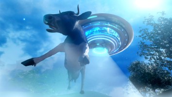 Senator Says Government Has ‘Downplayed’ And ‘Kept From The Public’ What It Knows About UFOs