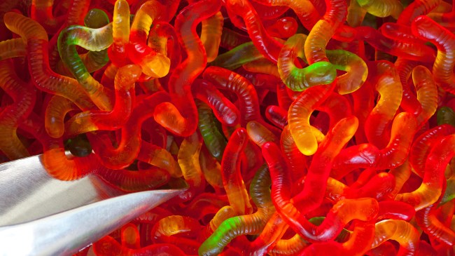 gummy worms