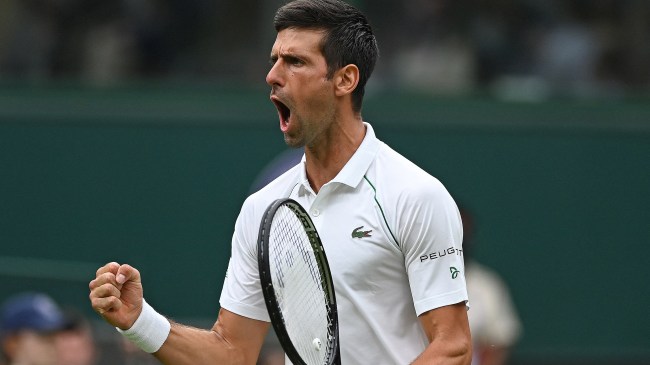 Novak Djokovic at Wimbledon