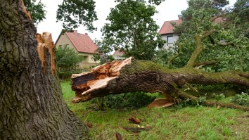 Jeff Passan Of ESPN Reports He Recently Broke His Back In Falling Tree Accident