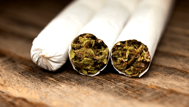marijuana how to roll perfect joint