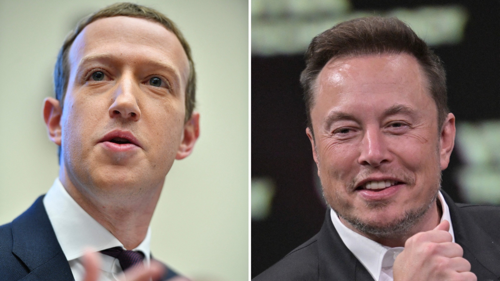 Mark Zuckerberg and Elon Musk