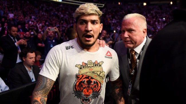 Dillon Danis at UFC 229