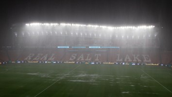 Raccoon Falls From Ceiling During Monsoon And Hilarity Ensues At MLS Stadium