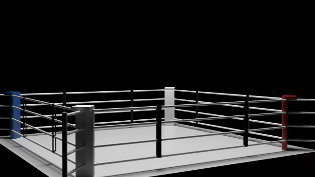 A view from outside of a boxing room.