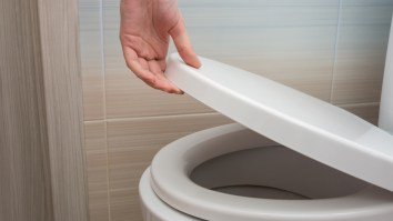 Woman Returns Home To Find A Snake Has Clogged Her Toilet In Wild Video