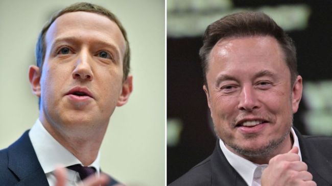 mark zuckerberg and elon musk collage