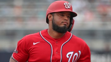 Wild Scene Unfolds As Ex-MLB Player Runs Into Stands To Try To Confront Fan At Minor League Game