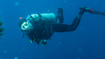 Scientists Discovered A New Species With 20 Arms That Looks Like Some Sort Of Alien