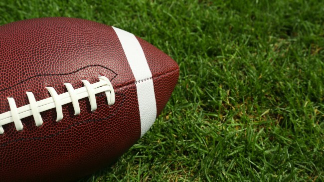 A football lies on the grass.