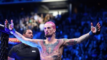 UFC Bantamweight Champ Sean O’Malley Makes Surprise Admission About Alexander Volkanovski