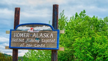 Alaska Man Catches Rare Fish That Has Bright Neon Blue Fillets When Prepared To Cook