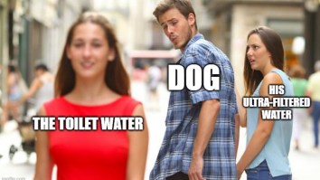 50 Of The Best New Memes The Internet Has To Offer Today