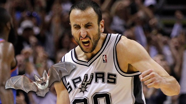 Manu Ginobili punching a bat