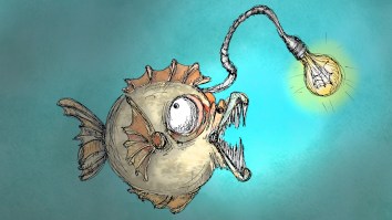 Deep Sea ‘Footballfish’ With The Gnarliest Teeth Washed Up On A California Beach And Had Everyone Spooked