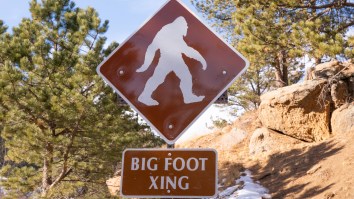 Colorado ‘Bigfoot’ Video Leads To Internet Detective Uncovering Incredibly Plausible Explanation