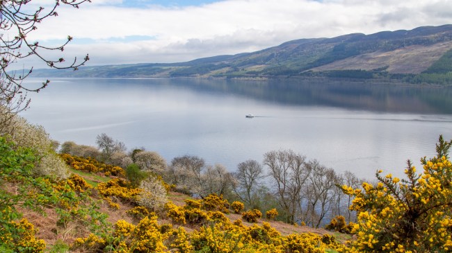 boat traveling on loch ness