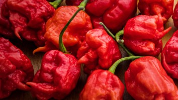 WATCH: Man Sets Carolina Reaper World Record En Route To Eating 135 In One Sitting