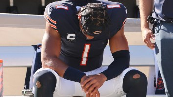 Chicago Bar Stuck Paying Thousands After Guaranteeing ‘Bears Win Or Free Drinks’ For All