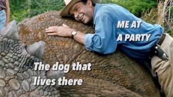 50 Of The Funniest Memes Going Viral Across The Internet Today