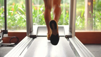 Average Joes Attempt To Run At New Marathon World Record Pace On A Treadmill And Fail So Hard