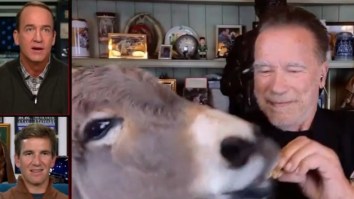 Arnold Schwarzenegger Spent MNF Feeding A Donkey Live On Air On The ManningCast