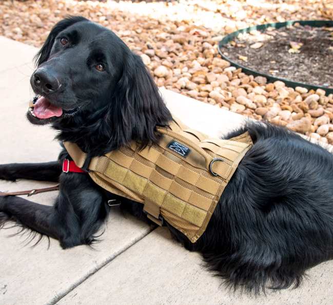 Coyote Mesh Tactical Dog Vest