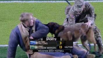 Belgian Malinois Violently Attacks Man During Halftime Of Hawaii Football Game (On Purpose)