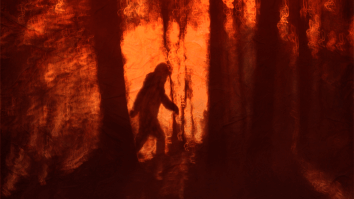 Man Claims He Captured ‘Real’ Footage Of Bigfoot: ‘There’s No Flaws’