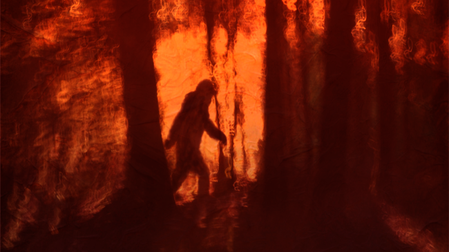 bigfoot image in the forest