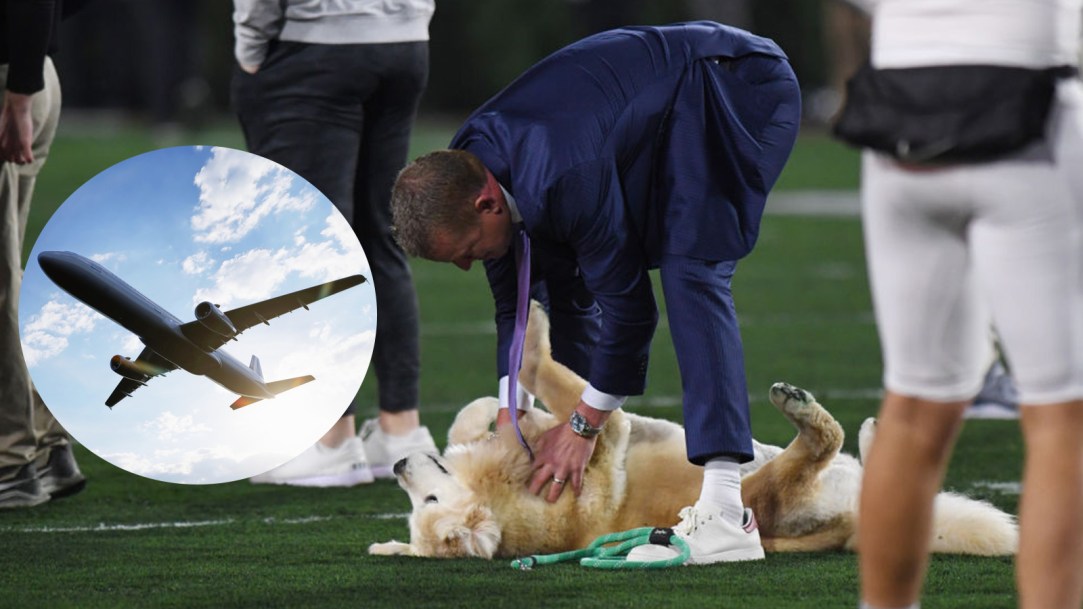 Kirk Herbstreit Dog Ben Golden Retreiver
