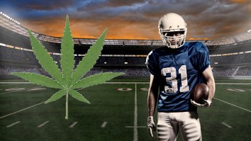 Japanese College Football Powerhouse Abolishes Entire Program Amid Major Marijuana Scandal