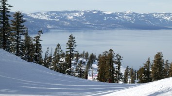 Skiers Barely Dodge A Sprinting Bear In Lake Tahoe As It Ran Through The Crowd