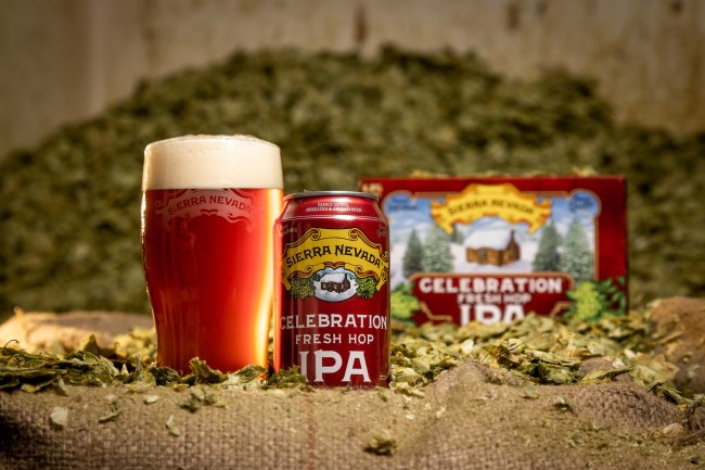 Sierra Nevada celebration ale poured in a full pint glass