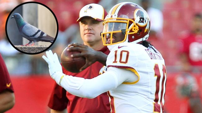 robert griffin iii and jay gruden with the washington redskins