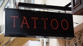 New ‘Wolf Skull’ Tattoo Trend Exposed As Alpha Males Are Actually Getting Raccoon Tattoos