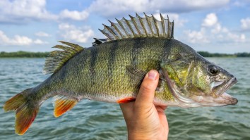 Man Tells His Wife He’s Going Out To Break A Fishing Record And Then Did Exactly That