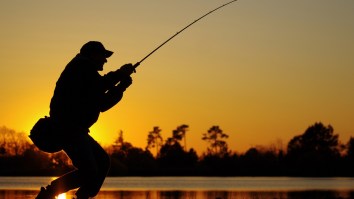 Best Bass Fishing Day Of The Year In Texas? 3 Separate Anglers Catch 13+ Pound Bass On Same Day