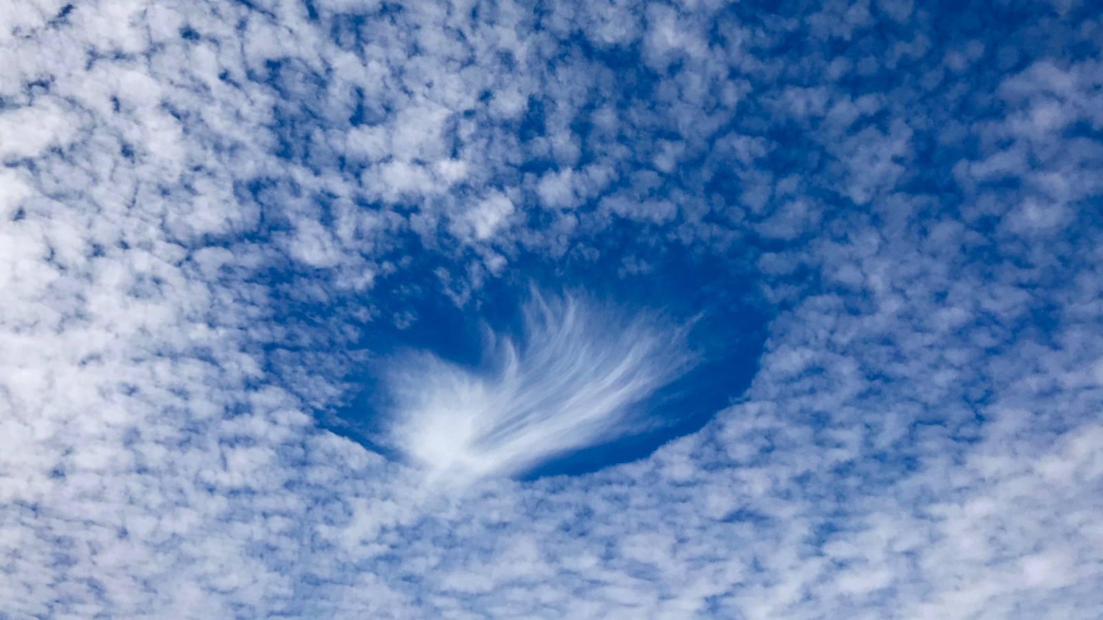 rare hole punch clouds aka Fallstreak holes