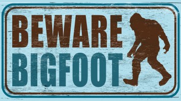 ‘Perfect’ Giant Footprints Emerging From Woods Spark Bigfoot Speculation