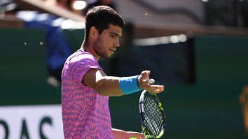 Tennis Superstar Carlos Alcaraz Gets Attacked By Swarm Of Bees During Match