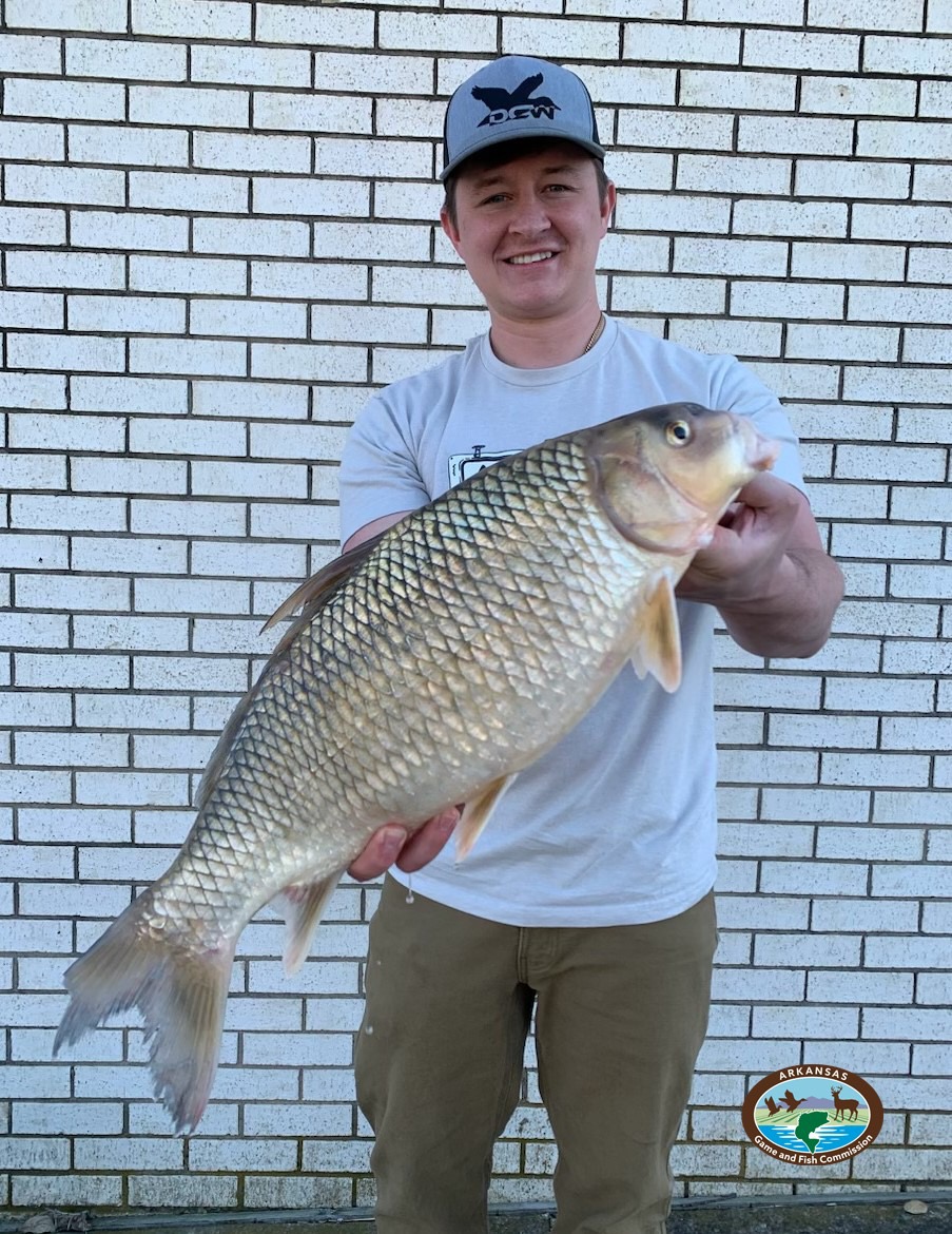 Arkansas bowfishing record quillback carpsucker