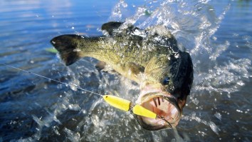 Maryland Man Becomes 6th ‘Master Angler’ In State History After Completing Rare Fishing Challenge